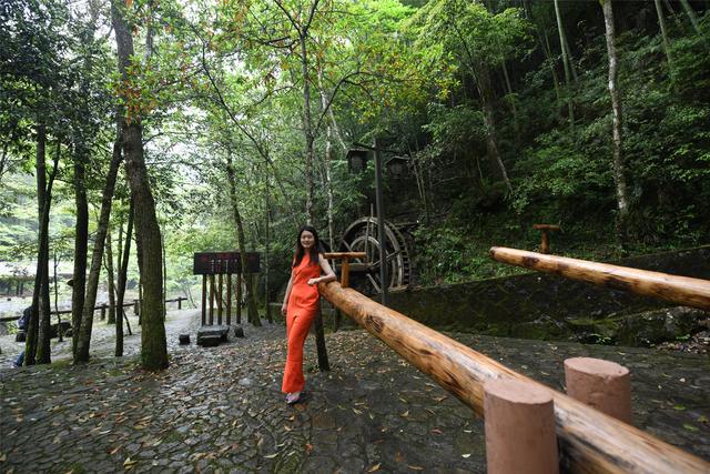 温州A级景区集合,有的闻名四海有的鲜为人知,收藏起来去打卡