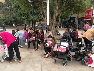 何晓波：解决天价保姆乱象，“中介制”还是“员工制”靠谱？