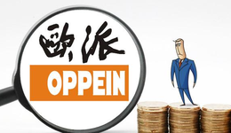 基金大佬“重仓”的欧派家居，2020年短期借款飙升2993%