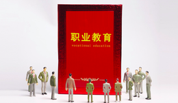 职业教育政策利好，但为何不受资本青睐？