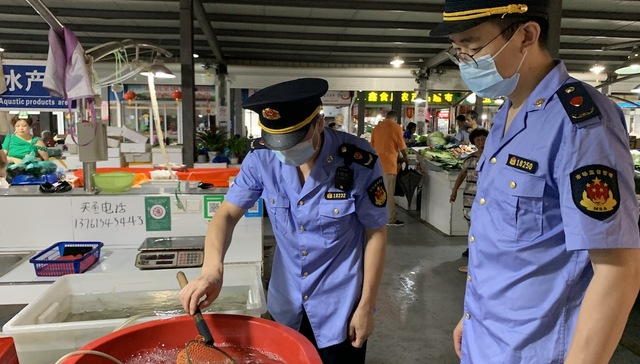 上海 研究确定刀鱼 大闸蟹等五种水产品为首批长江禁渔追溯品种 界面新闻