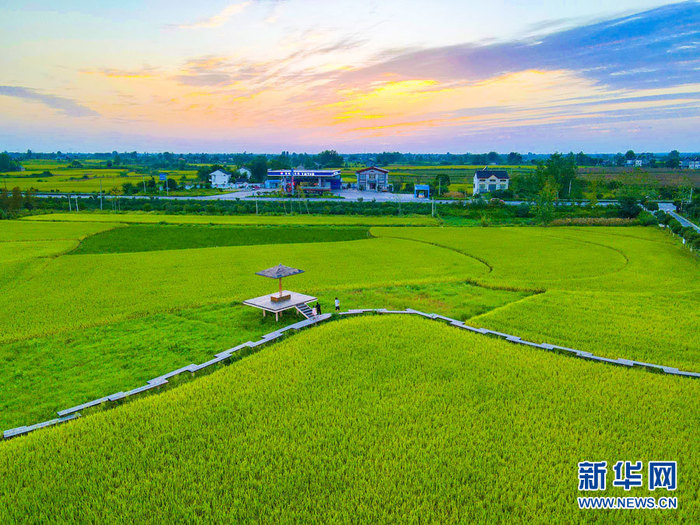 航拍湖北省枝江市问安镇袁码头村田园风景如画.新华网发 陈黄奎 摄