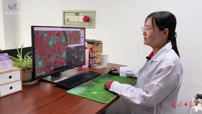 科普中国繁星追梦|卫星“种地”不一般!一起了解农业遥感