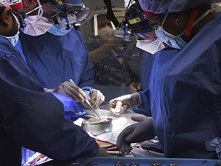 全球首例人接受猪心移植手术完成