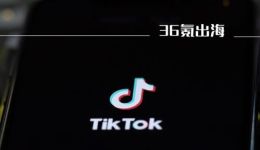 TikTok电商，只等一个“罗永浩”？
