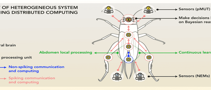 PG电子|受蟋蟀启发，科学家研制混合AI芯片，耗资300万欧元