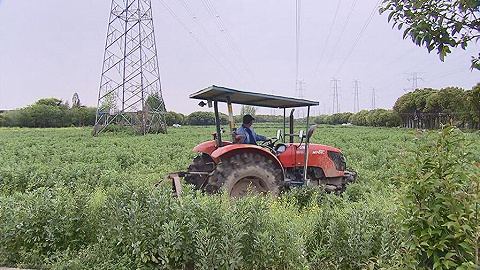 上海奉贤制定农业人员“白名单”，1800人投入春耕生产
