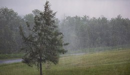 5月南方局地可能發(fā)生暴雨洪水，應(yīng)重點(diǎn)關(guān)注江南、華南及江淮地區(qū)