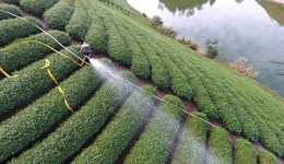 浙江7月以來遭三輪高溫侵襲，部分地區(qū)保供水天數(shù)不足60天