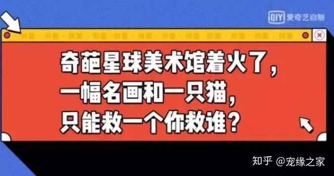 管家婆马报图今晚