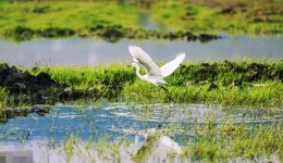 两部门印发湿地保护规划：到2025年新增国家重要湿地50处