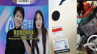 “瘋狂小楊哥”的發家史