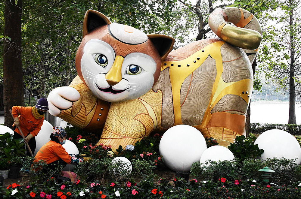 每周奇趣掠影丨中国兔年到来之际，越南庆祝猫年；美国彩票开出13.5亿美元头奖