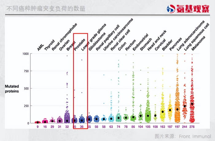 管家婆马报图今晚