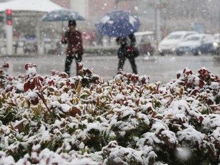 地方新闻精选 | 河南多地发布暴雪红色预警 浙江城乡居民收入倍差连续10年缩小