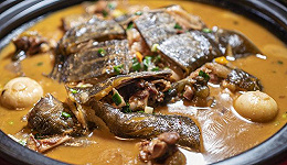 小众品类兴起，甲鱼预制菜凭什么走俏餐桌？