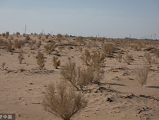 螞蟻集團再捐1億種樹，實地探訪北疆治沙成效如何