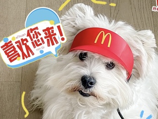 ʹñΪɶͻȻˣ