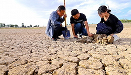 西北旱情仍在持续：甘肃损失超21亿，未来10天无明显降水