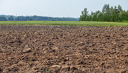 粮食安全保障法草案二审稿：撂荒地可由发包方组织代耕代种