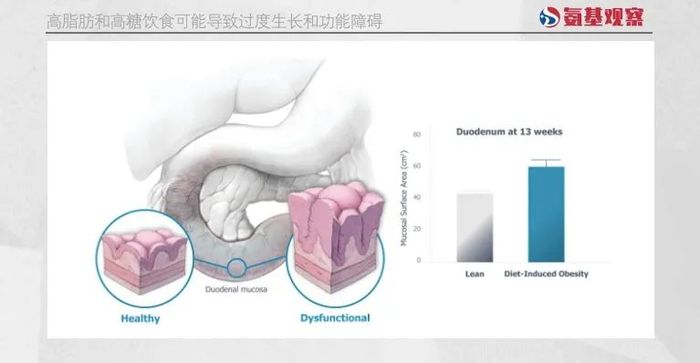 管家婆马报图今晚