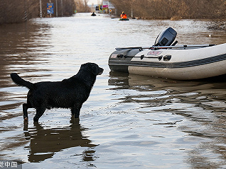 洪水致使俄乌拉尔流域万余民房被淹，50万人口中心城市严阵以待
