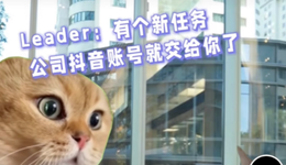 猫meme走红，赛博时代的“情绪消化剂”