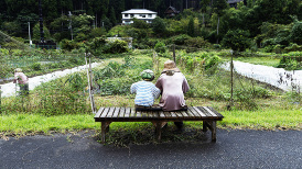 日本今年第一季度超2万人“孤独死”：人类如何面对“孤独”？