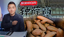 钟薛高老板直播“卖红薯”还债，“真还传”有了新主角？