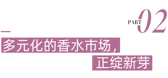 管家婆马报图今晚