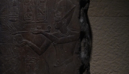 上博馆长回应不实传言：埃及国家博物馆没被搬空