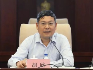 绿地控股董事、上海城投副总裁胡欣，涉嫌严重违纪违法被查