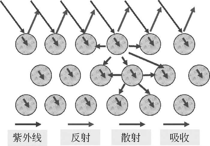 管家婆马报图今晚