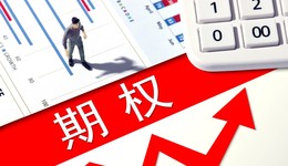 雞蛋、玉米淀粉、生豬期權(quán)注冊獲批，大商所期權(quán)品種增至16個