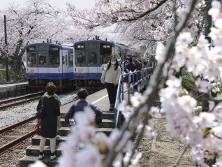 日本大地震預(yù)警，勸退火爆的赴日旅游了嗎？