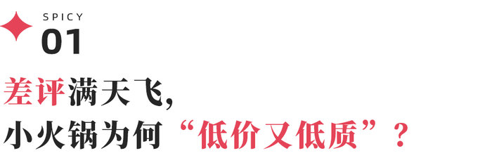 “一顿小火锅，我吃了这辈子所有的合成肉”