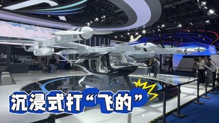 进博会低空飞行展区热度爆棚，实地体验打“飞的”究竟怎么回事