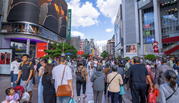 10月中国经济运行稳中有进，消费增速创年内次高