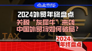 2024外贸年终盘点：关税“灰犀牛”来袭，中国外贸将如何破局？｜商业微史记