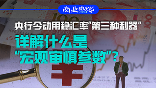 央行今动用稳汇率“第三种利器”，详解什么是“宏观审慎参数”？｜商业微史记