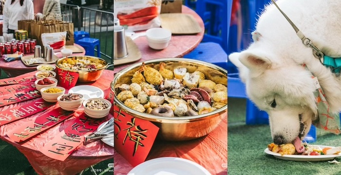 宠物坐上年夜饭餐桌｜年货新风尚