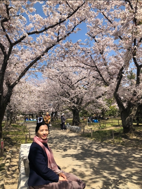 花开之处，便是故地 · 旅行