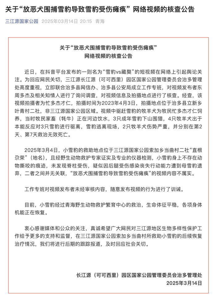 青海三江源国家公园：“放恶犬围捕雪豹导致雪豹受伤瘫痪”视频内容不属实|界面新闻 · 快讯