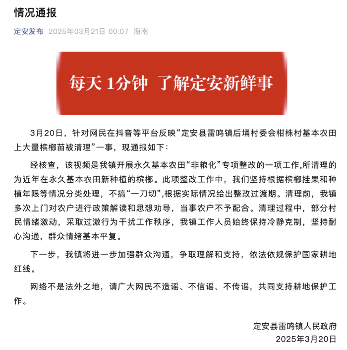 海南定安一地基本农田大量槟榔苗被清理？当地通报