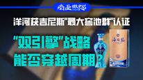 洋河获吉尼斯“最大窖池群”认证，“双引擎”战略能否穿越周期？｜商业微史记