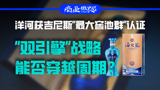 洋河獲吉尼斯“最大窖池群”認(rèn)證，“雙引擎”戰(zhàn)略能否穿越周期？｜商業(yè)微史記