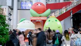IP爆火，為線下商業(yè)帶來了 “第二春”？