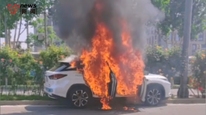 無(wú)人駕駛車撞綠化帶起火，小馬智行：檢測(cè)到異常，無(wú)乘客，觸發(fā)保護(hù)機(jī)制緊急停車