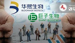 华熙生物和巨子生物干仗，10家券商中枪