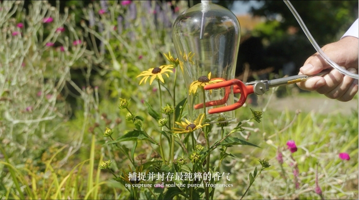 https://img3.jiemian.com/101/original/20250521/import_174780658338520170014_a700xH.jpg